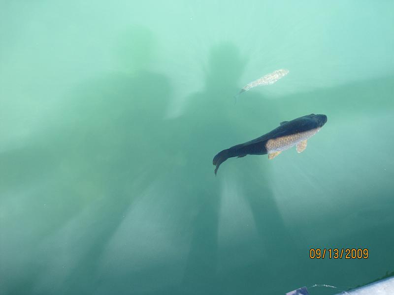 Picture 046